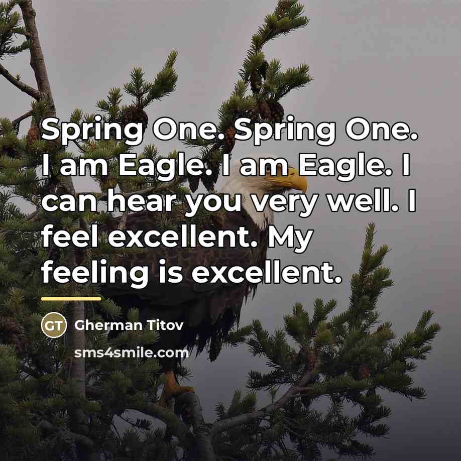 “Spring One. Spring One. I am Eagle. I am Eagle.…” quote by Gherman Titov