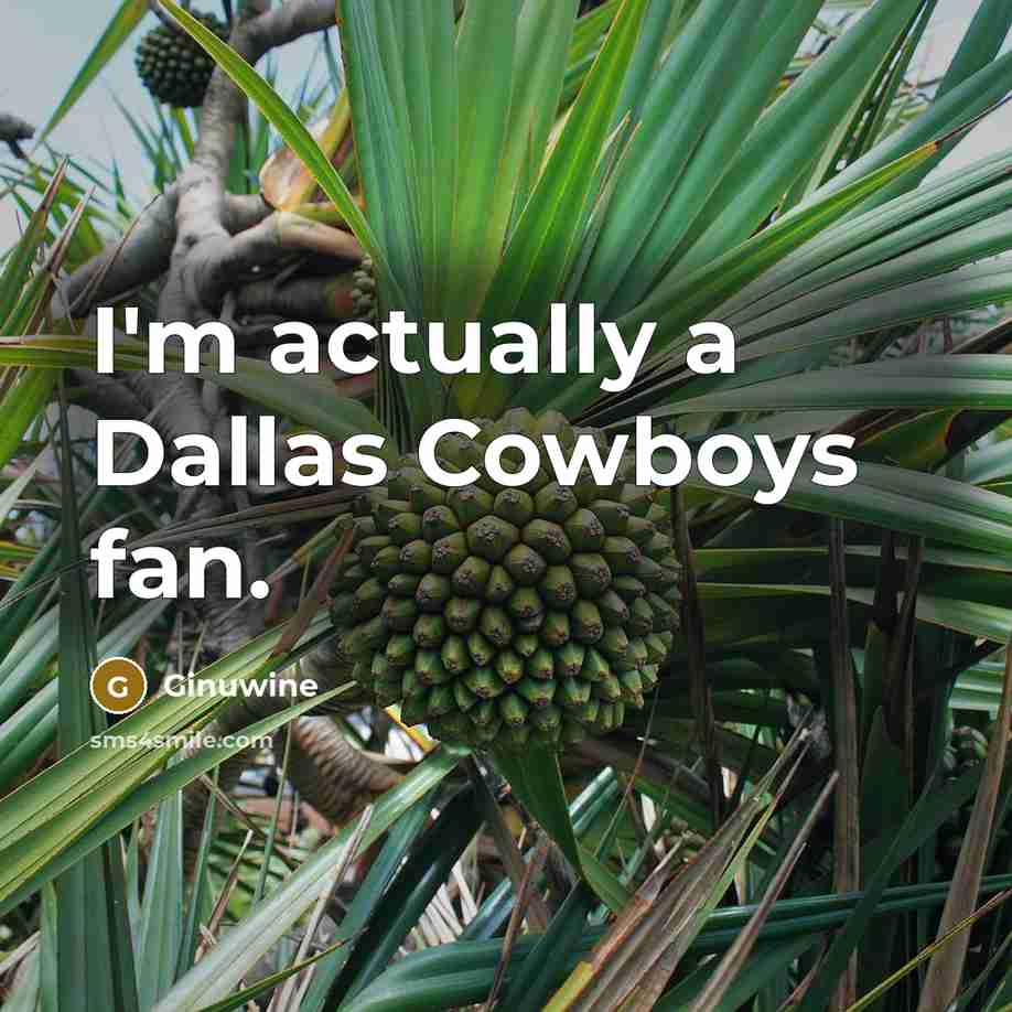 “I'm actually a Dallas Cowboys fan.…” quote by Ginuwine