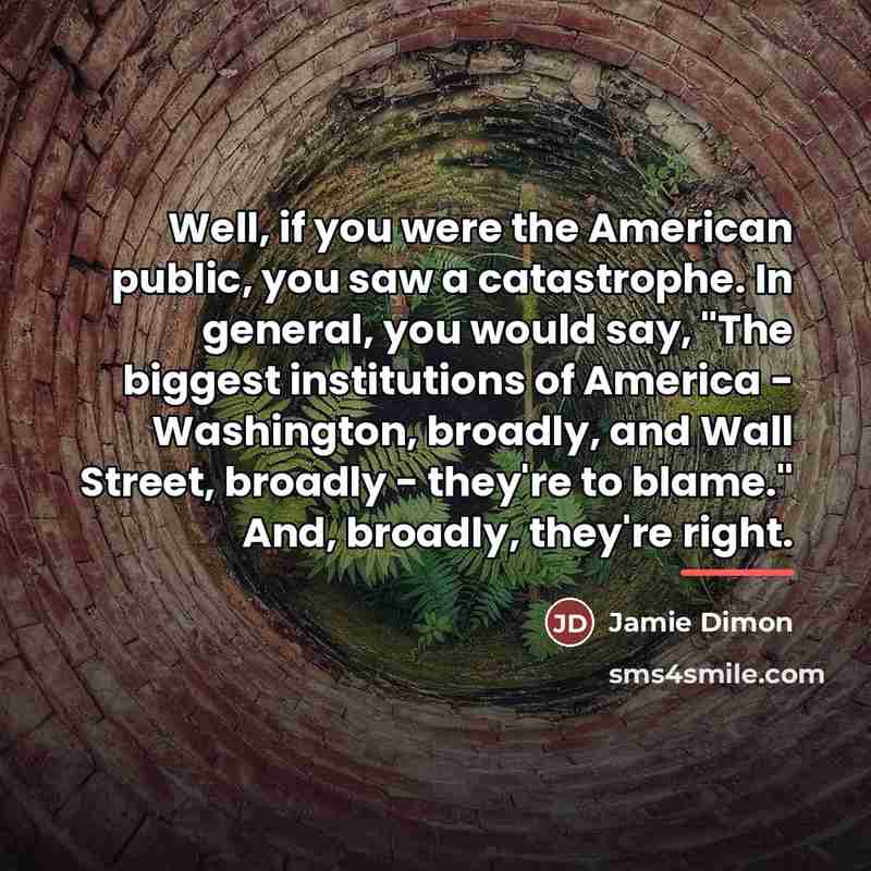 “Well, if you were the American public, you saw a…” quote by Jamie Dimon
