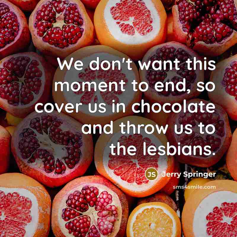 “We don't want this moment to end, so cover us in chocolate and throw us to the lesbians.” quote by Jerry Springer