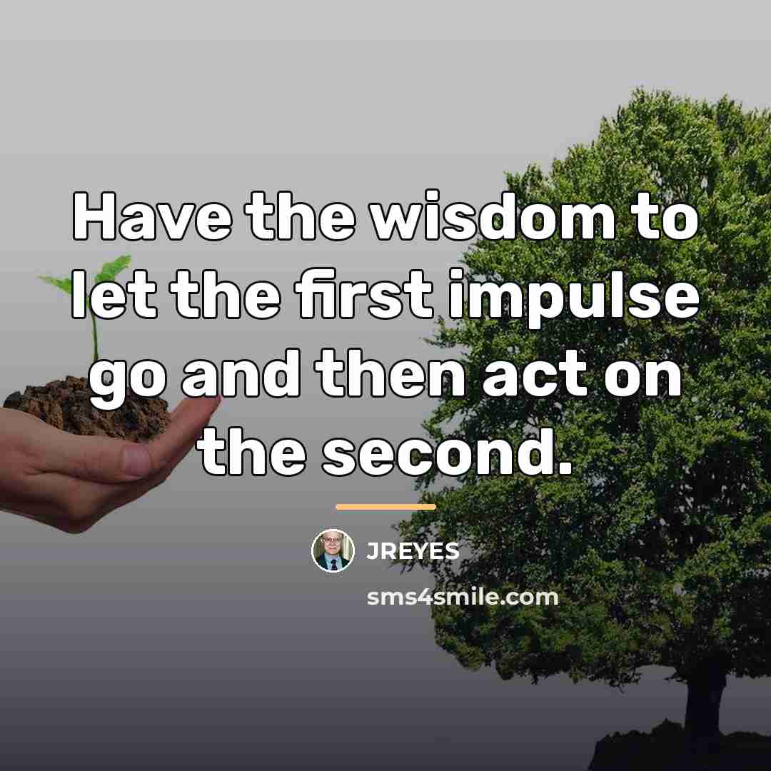 “Have the wisdom to let the first impulse go and…” quote by JREYES