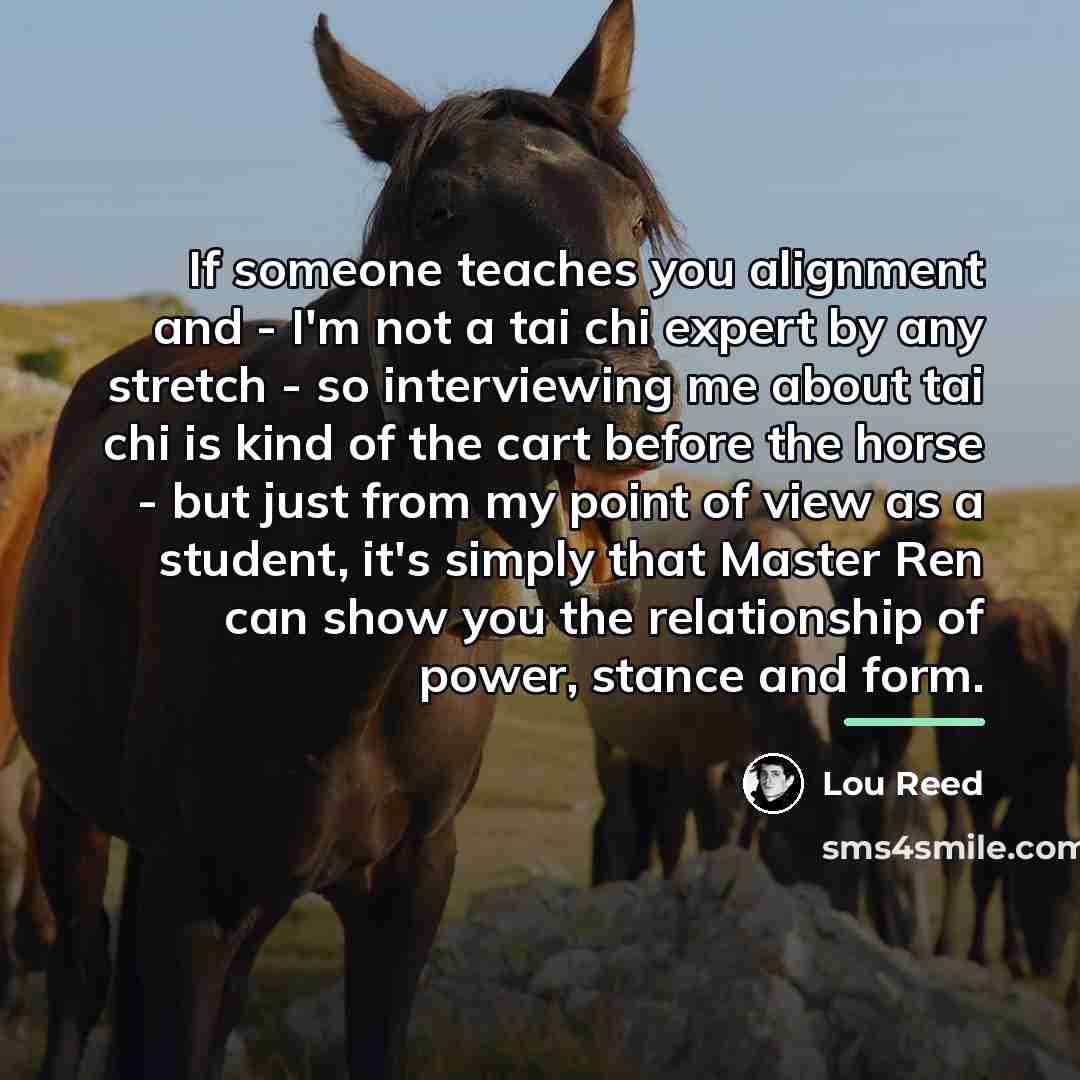 “If someone teaches you alignment and - I'm not a…” quote by Lou Reed