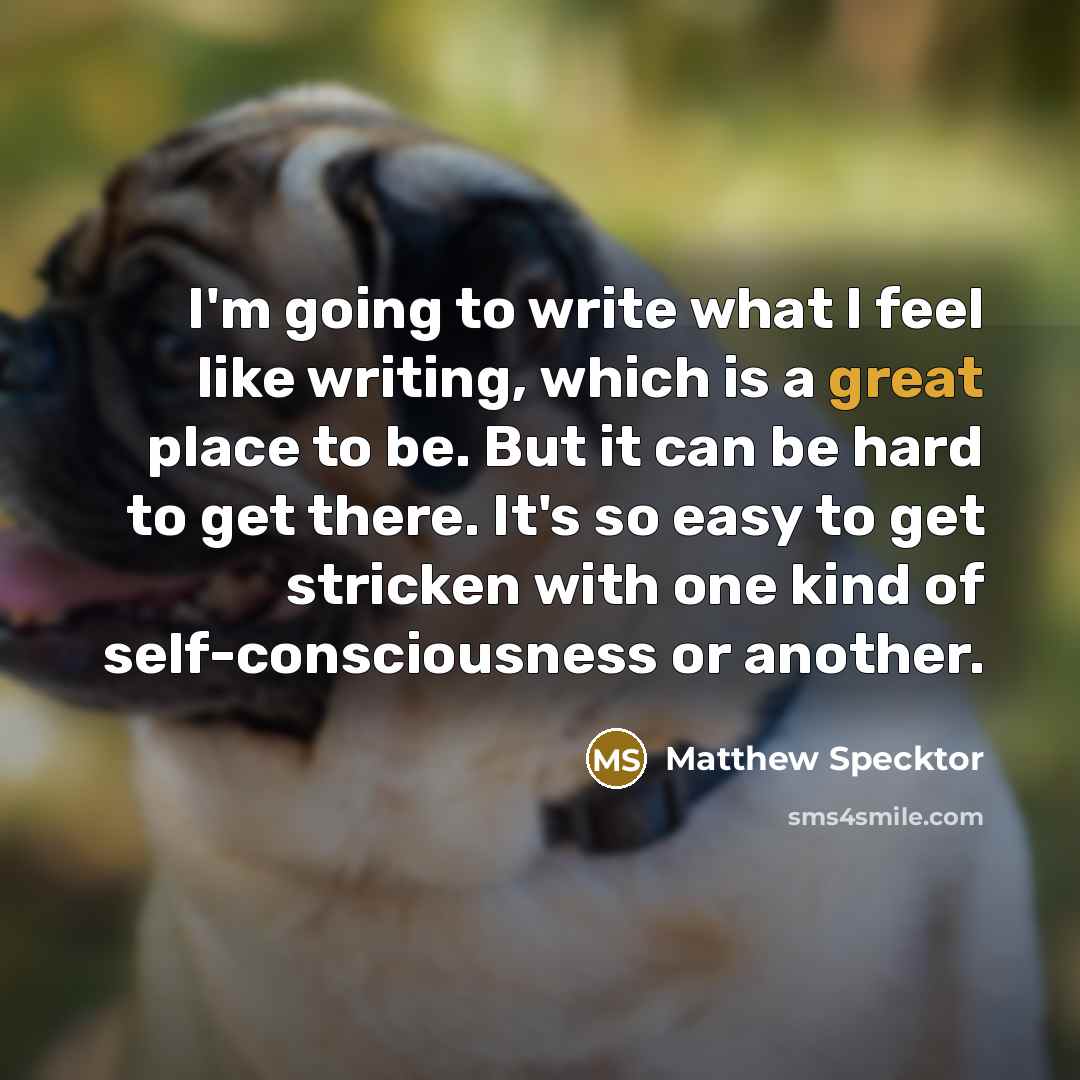 “I'm going to write what I feel like writing, which…” quote by Matthew Specktor