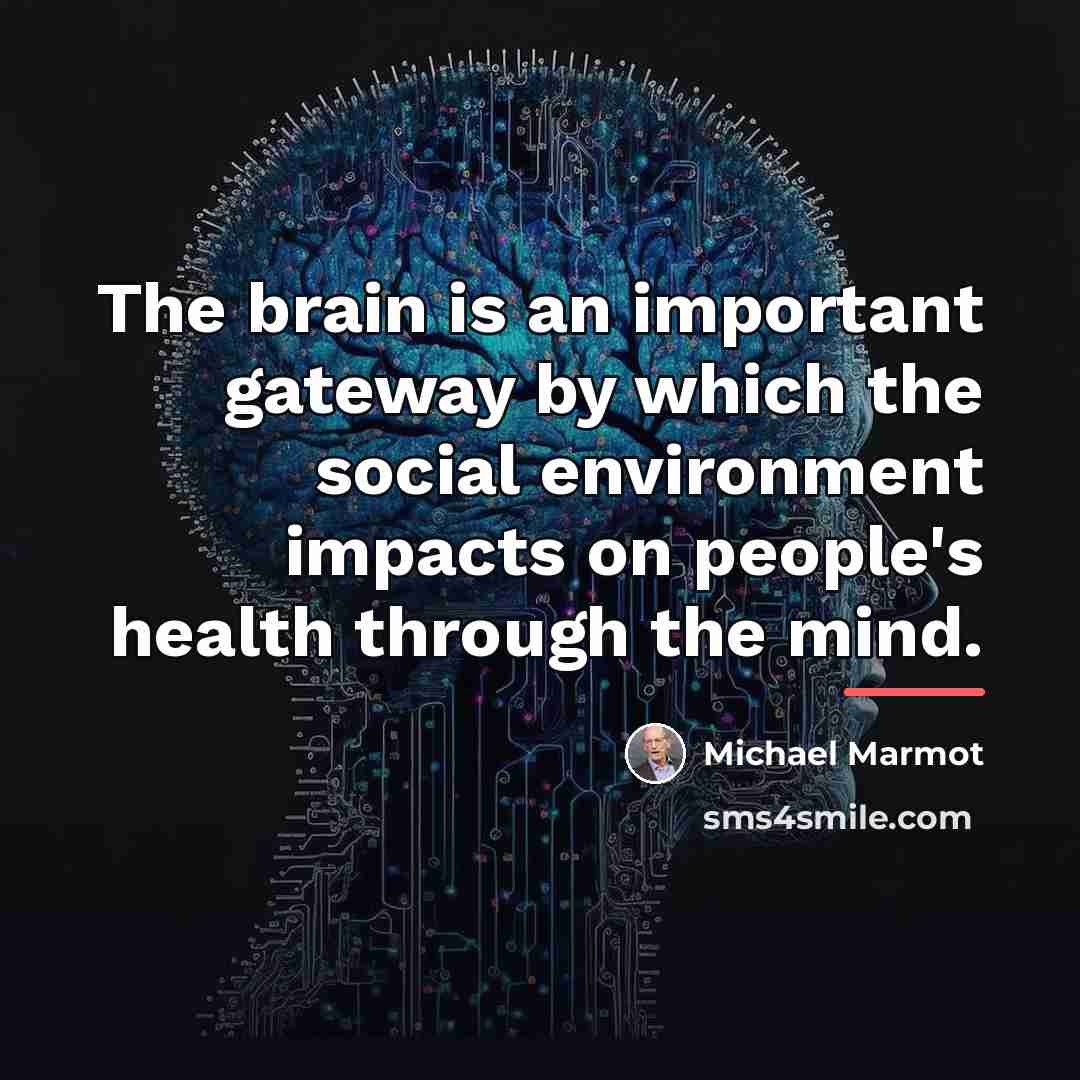 “The brain is an important gateway by which the social…” quote by Michael Marmot