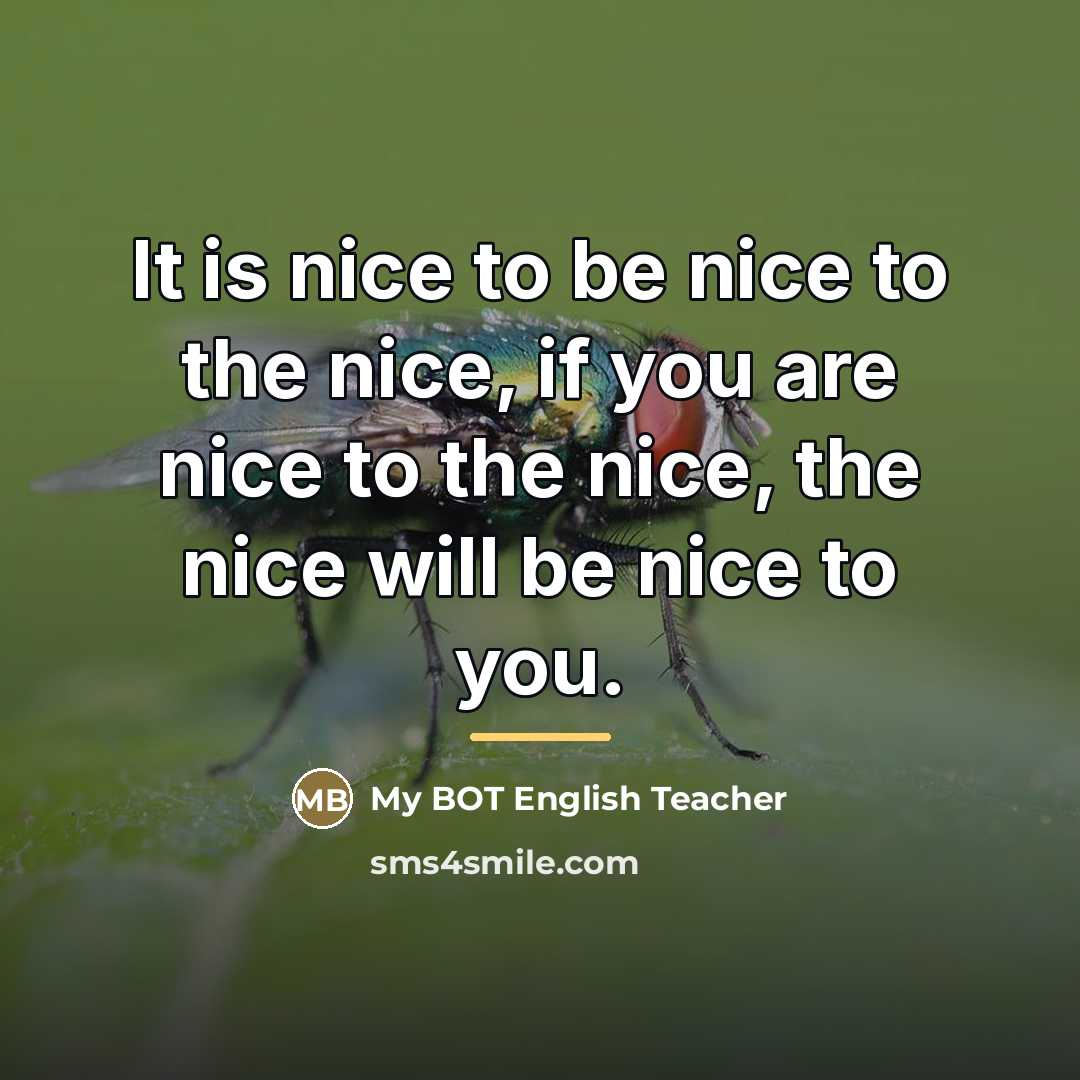 “It is nice to be nice to the nice, if…” quote by My BOT English Teacher