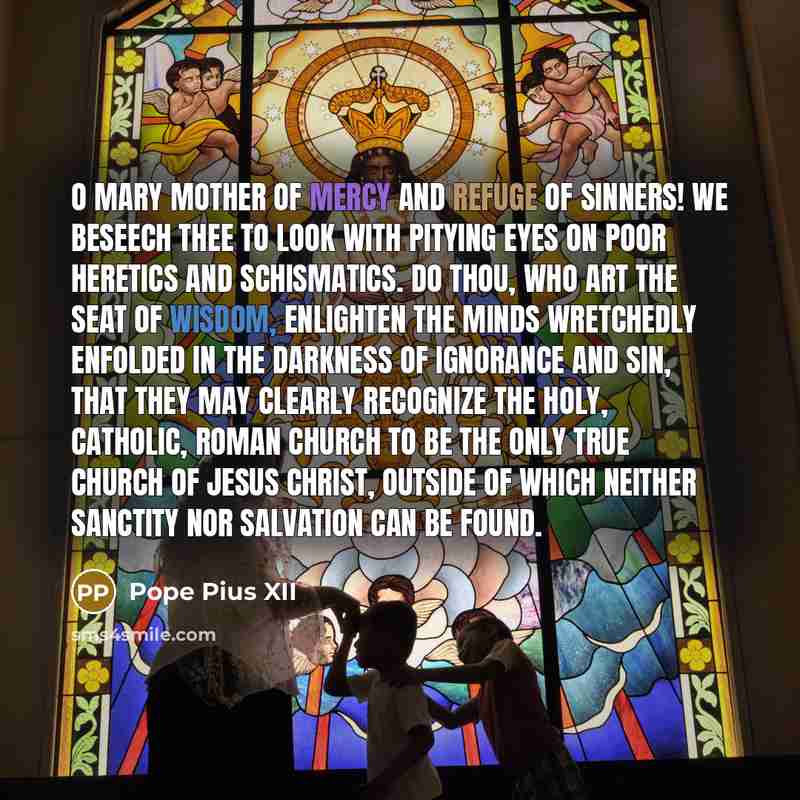 “O Mary Mother of Mercy and Refuge of Sinners! We…” quote by Pope Pius XII