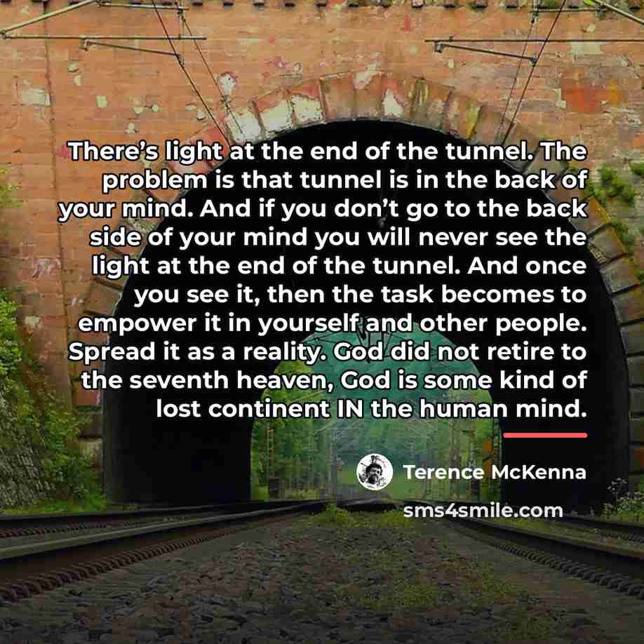“There’s light at the end of the tunnel. The problem…” quote by Terence McKenna