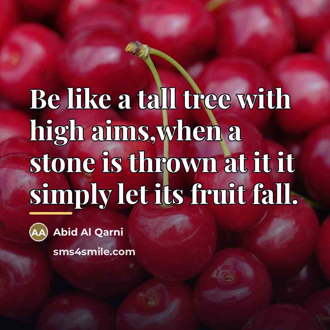 “Be like a tall tree with high aims,when a stone…” quote by Abid Al Qarni