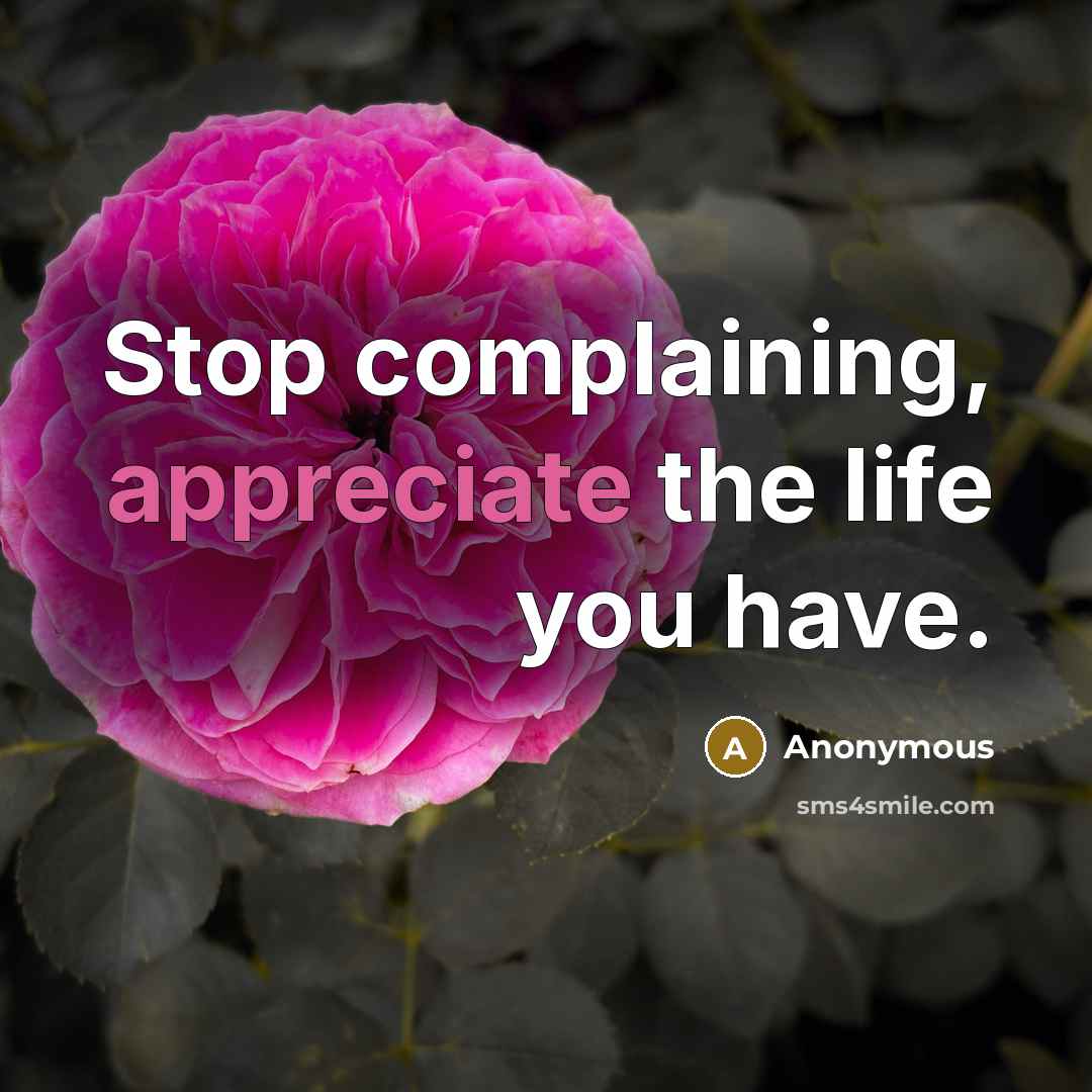 “Stop complaining, appreciate the life you have.…” quote by Anonymous