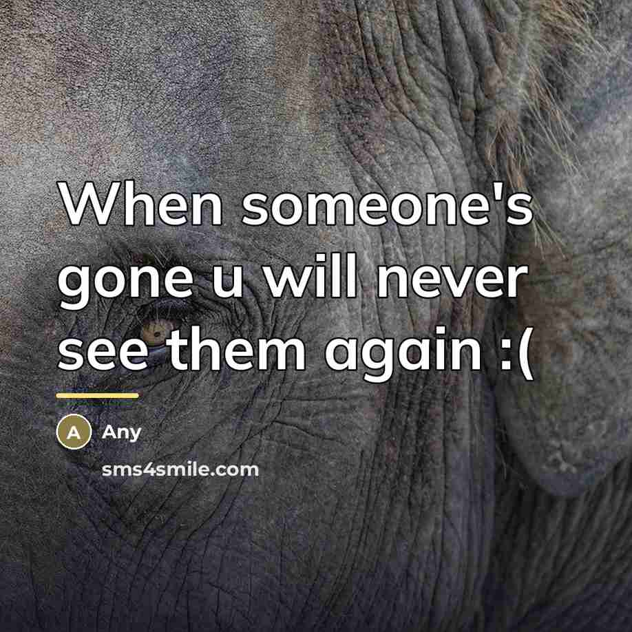 “When someone's gone u will never see them again :(…” quote by Any
