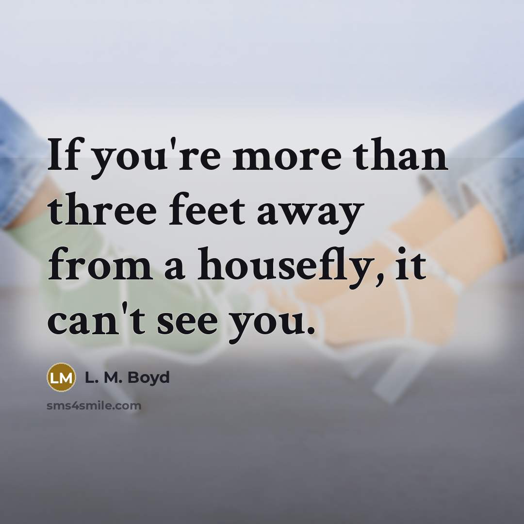 “If you're more than three feet away from a housefly, it can't see you.” quote by L. M. Boyd