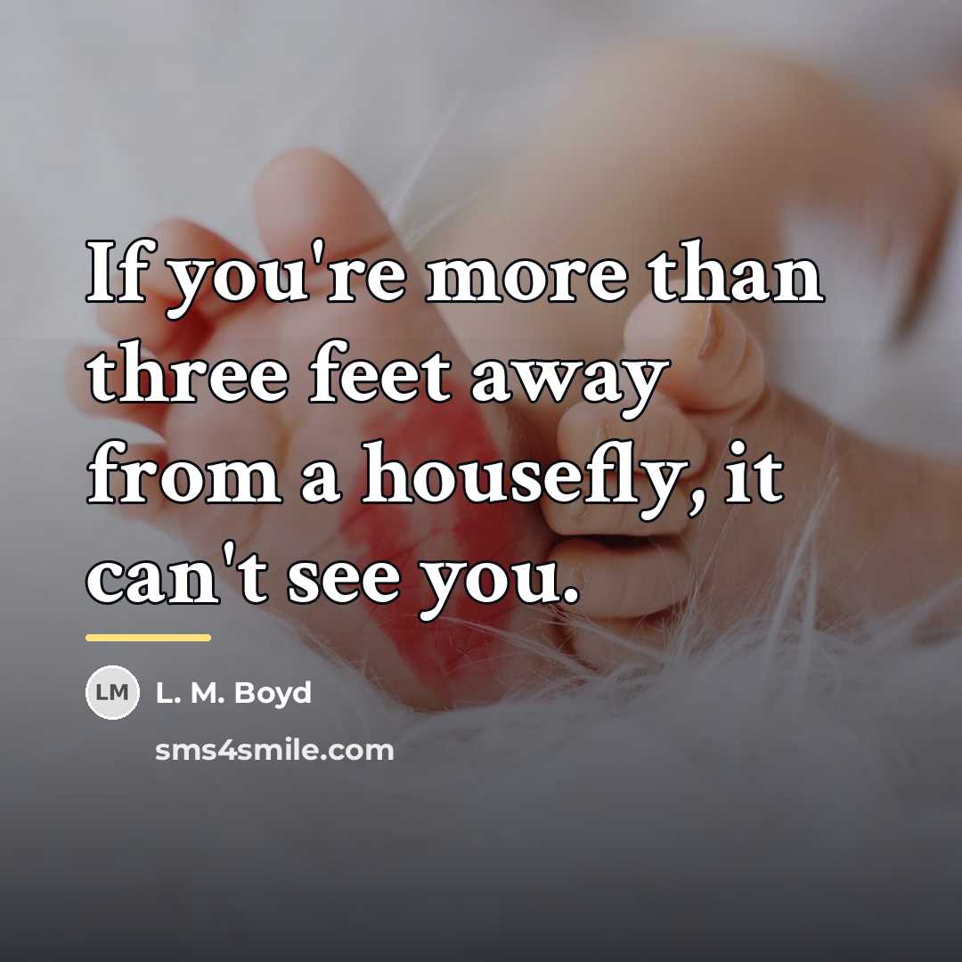 “If you're more than three feet away from a housefly,…” quote by L. M. Boyd
