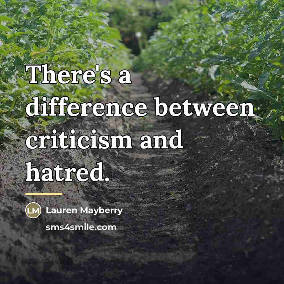 “There's a difference between criticism and hatred.…” quote by Lauren Mayberry