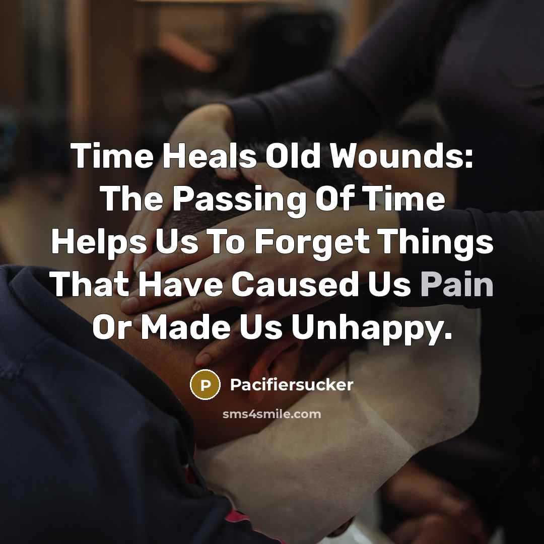 “Time Heals Old Wounds: The Passing Of Time Helps Us…” quote by Pacifiersucker
