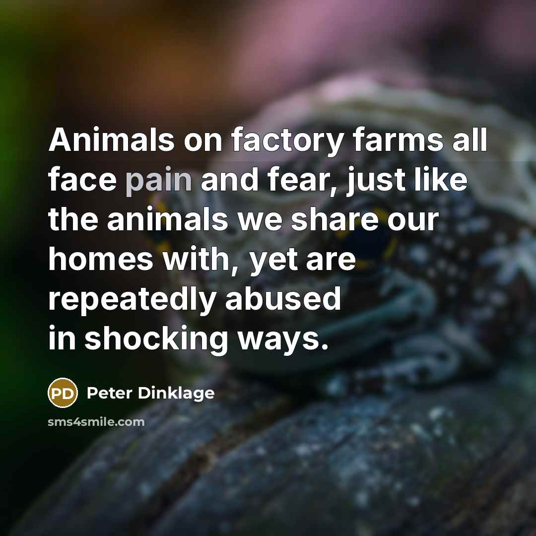 “Animals on factory farms all face pain and fear, just…” quote by Peter Dinklage