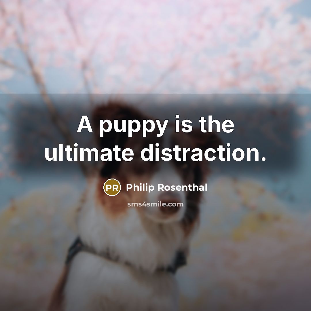 “A puppy is the ultimate distraction.…” quote by Philip Rosenthal