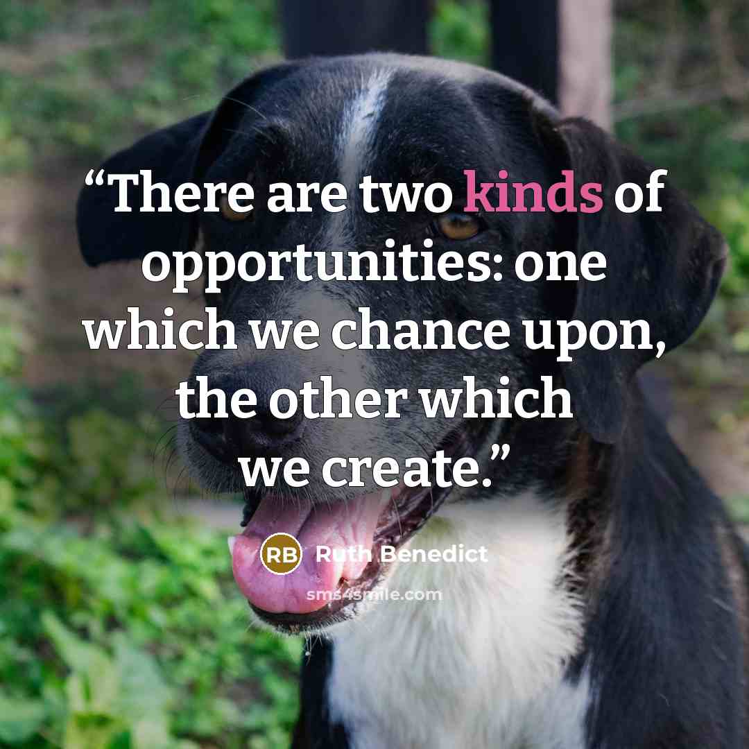 “There are two kinds of opportunities: one which we chance upon, the other which we create.” quote by Ruth Benedict