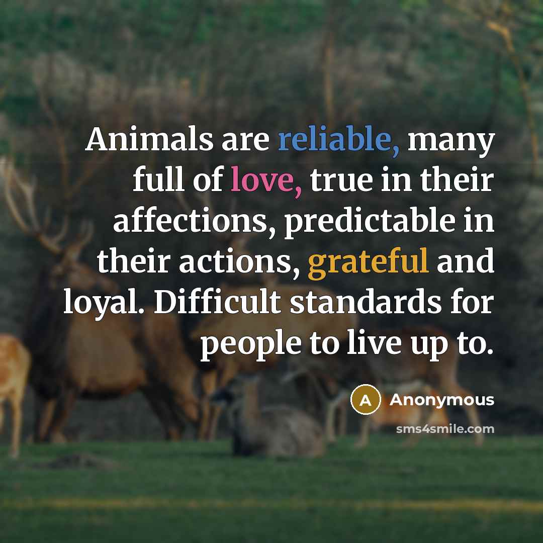 “Animals are reliable, many full of love, true in their…” quote by Anonymous
