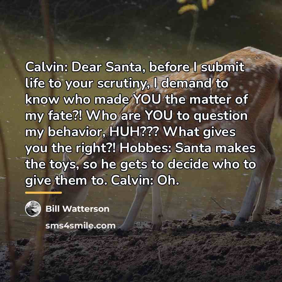 “Calvin: Dear Santa, before I submit life to your scrutiny,…” quote by Bill Watterson