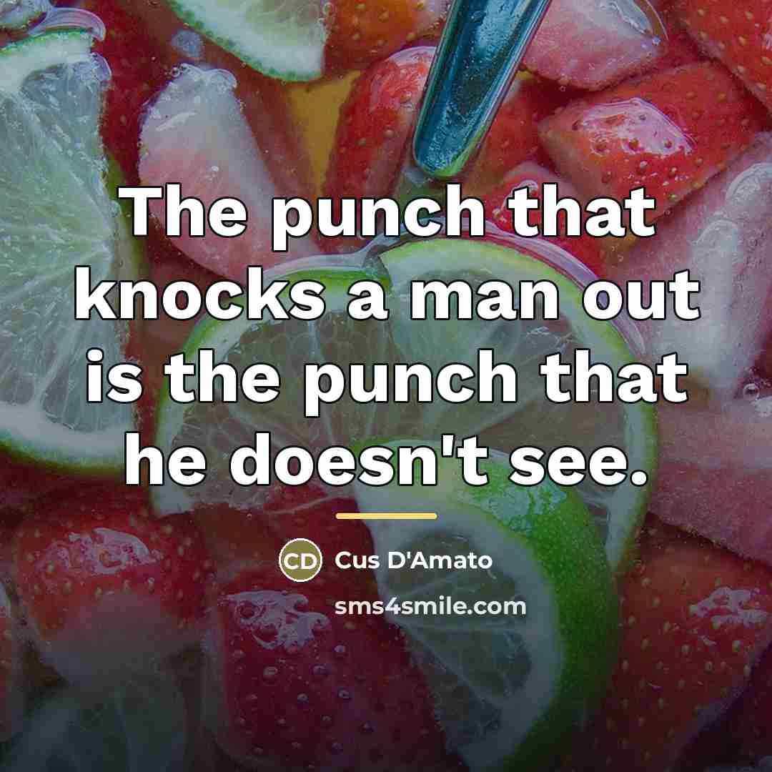 “The punch that knocks a man out is the punch…” quote by Cus D'Amato