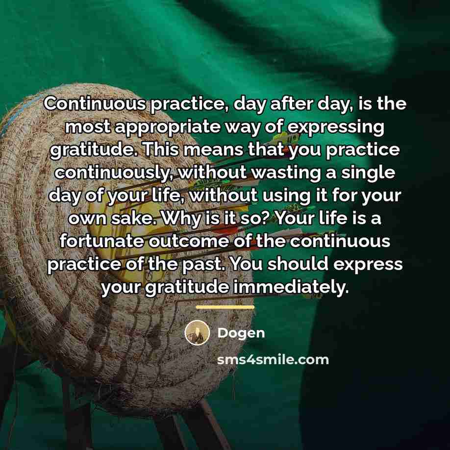 “Continuous practice, day after day, is the most appropriate way…” quote by Dogen