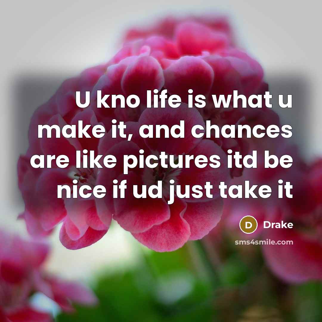 “U kno life is what u make it, and chances…” quote by Drake
