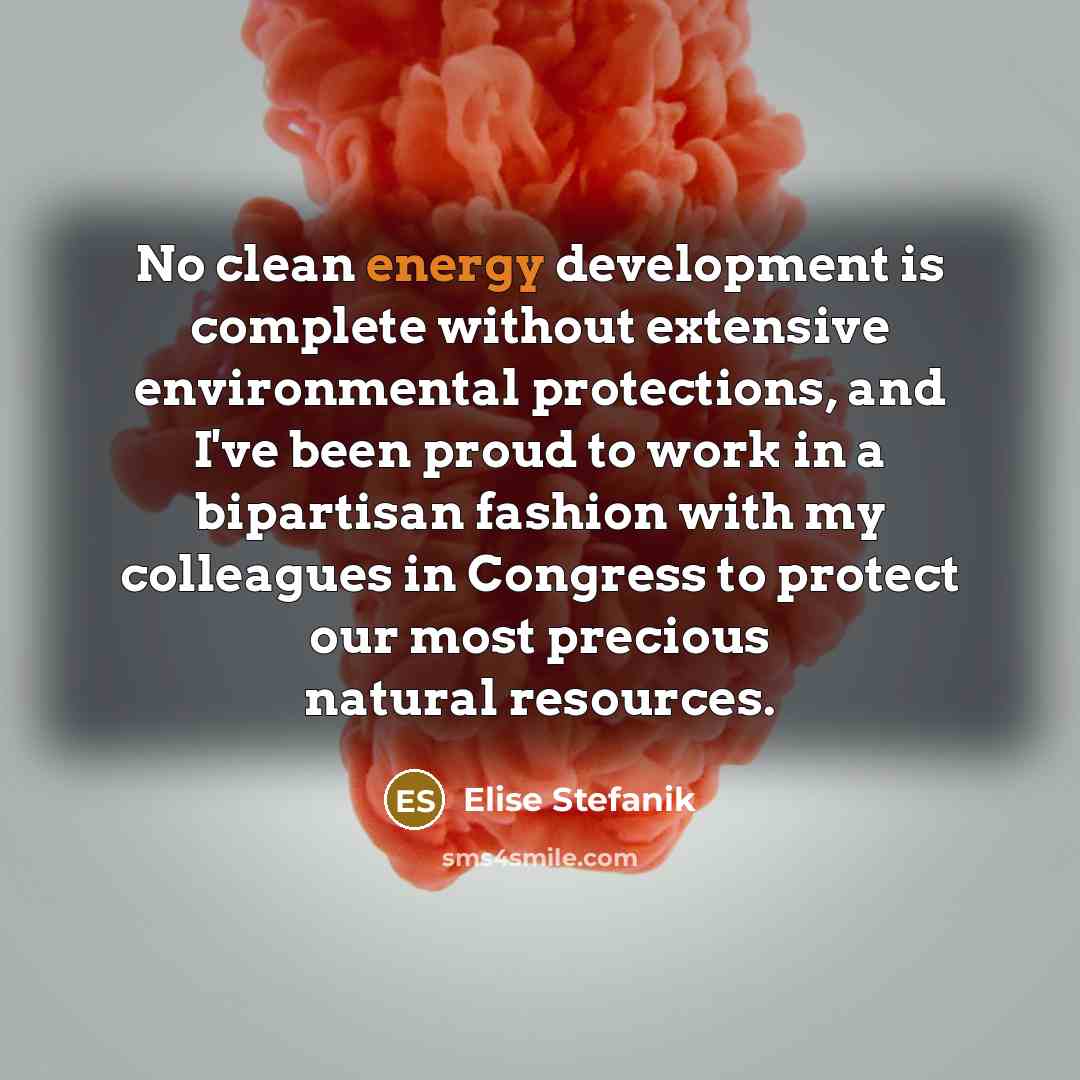 “No clean energy development is complete without extensive environmental protections,…” quote by Elise Stefanik