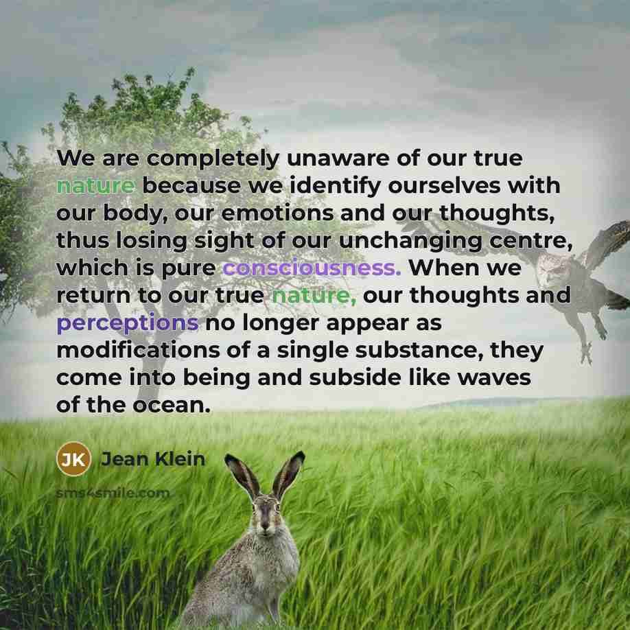 “We are completely unaware of our true nature because we…” quote by Jean Klein