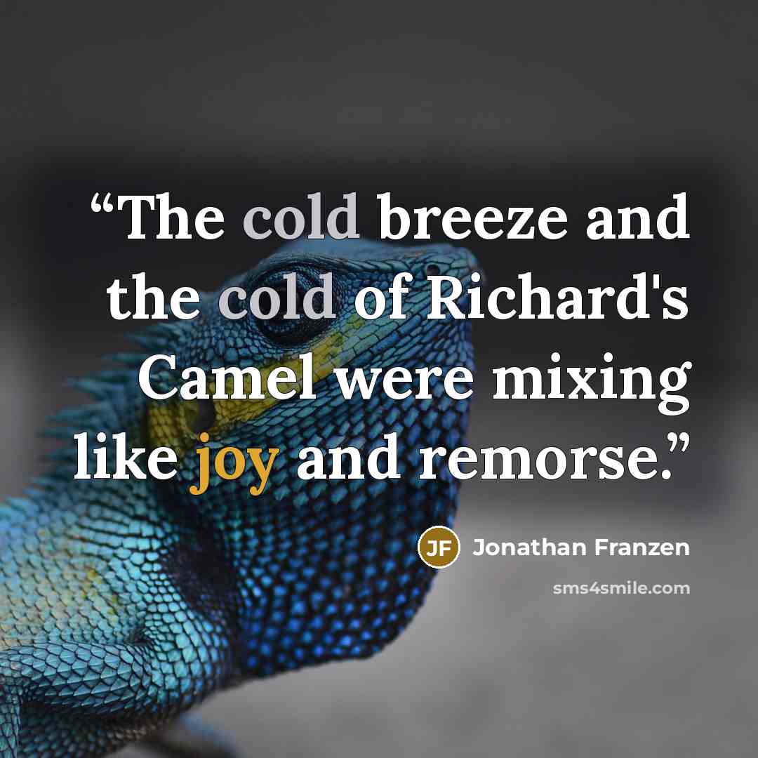 “The cold breeze and the cold of Richard's Camel were mixing like joy and remorse.” quote by Jonathan Franzen