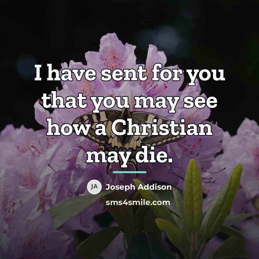 “I have sent for you that you may see how…” quote by Joseph Addison