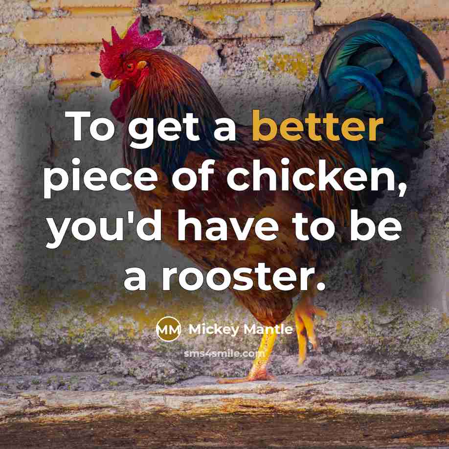“To get a better piece of chicken, you'd have to be a rooster.” quote by Mickey Mantle