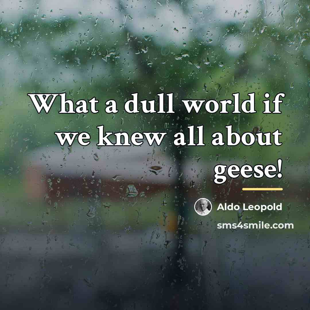 “What a dull world if we knew all about geese!…” quote by Aldo Leopold