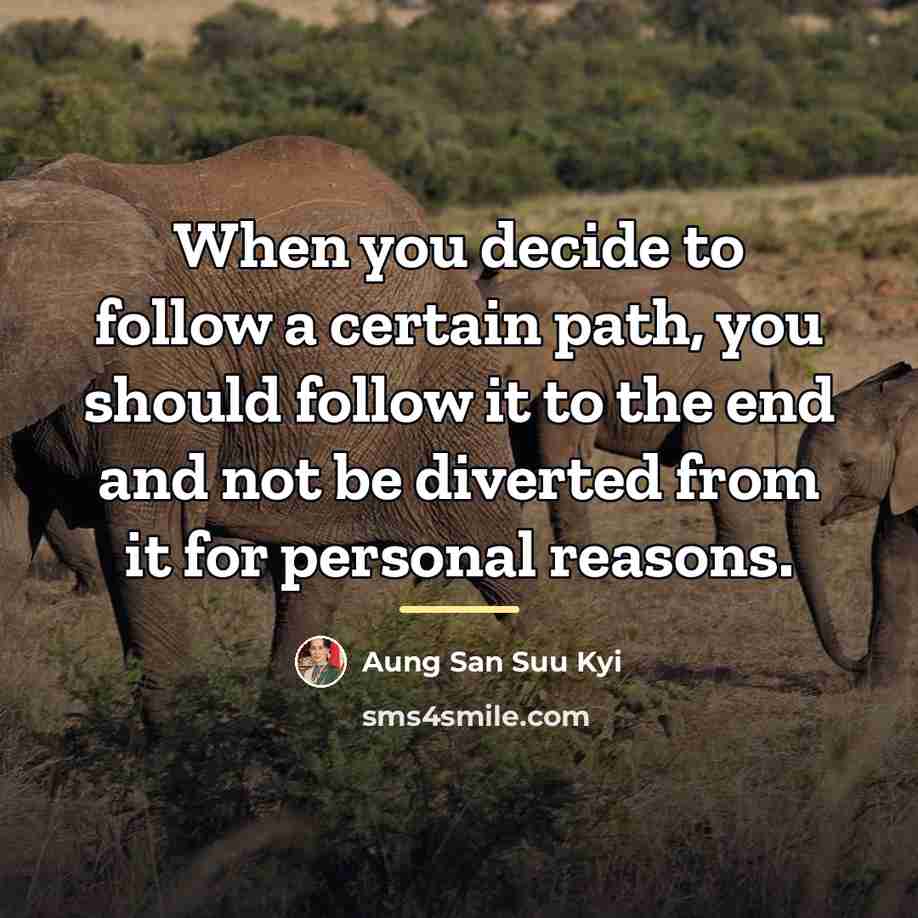 “When you decide to follow a certain path, you should…” quote by Aung San Suu Kyi