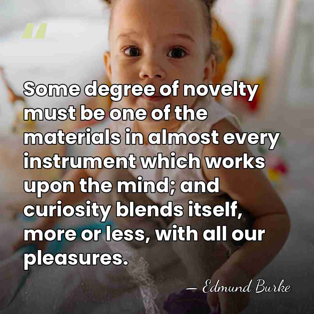 Some degree of novelty must be one of the materials in almost&hellip; - Edmund Burke
