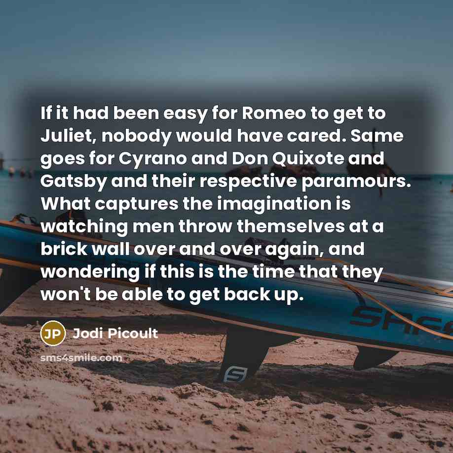 “If it had been easy for Romeo to get to…” quote by Jodi Picoult