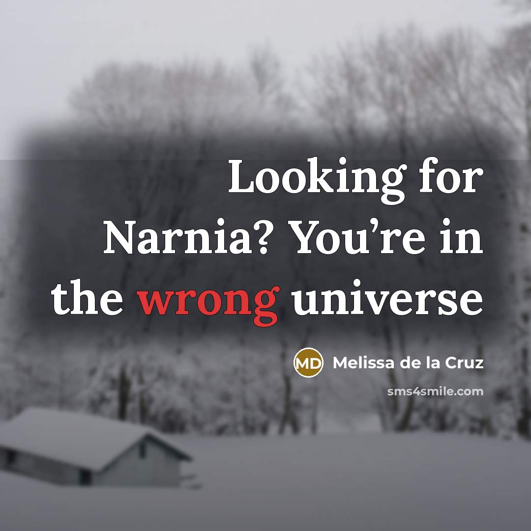 “Looking for Narnia? You’re in the wrong universe…” quote by Melissa de la Cruz