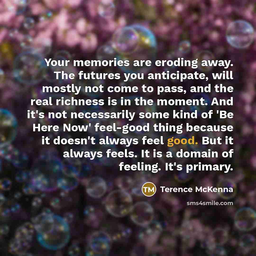 “Your memories are eroding away. The futures you anticipate, will…” quote by Terence McKenna