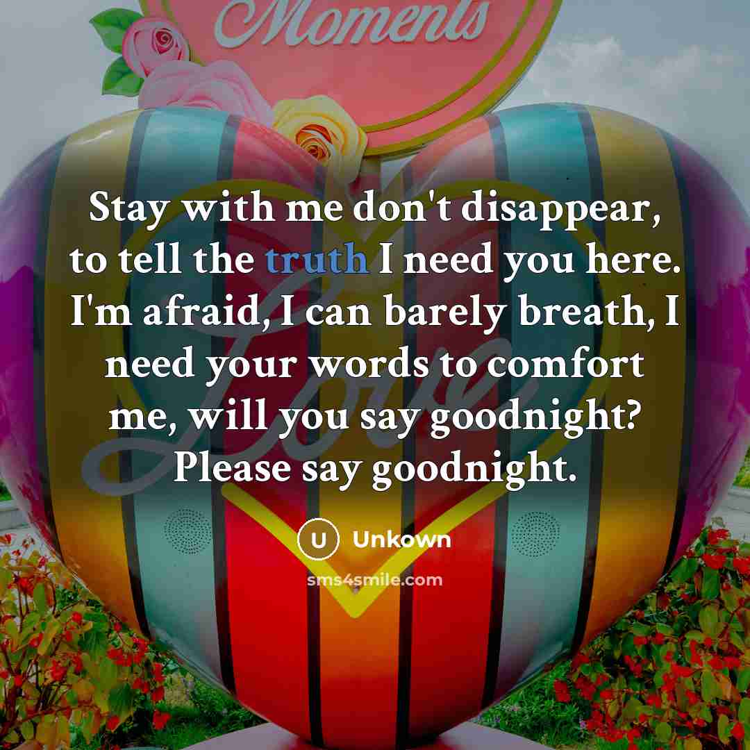 “Stay with me don't disappear, to tell the truth I…” quote by Unkown