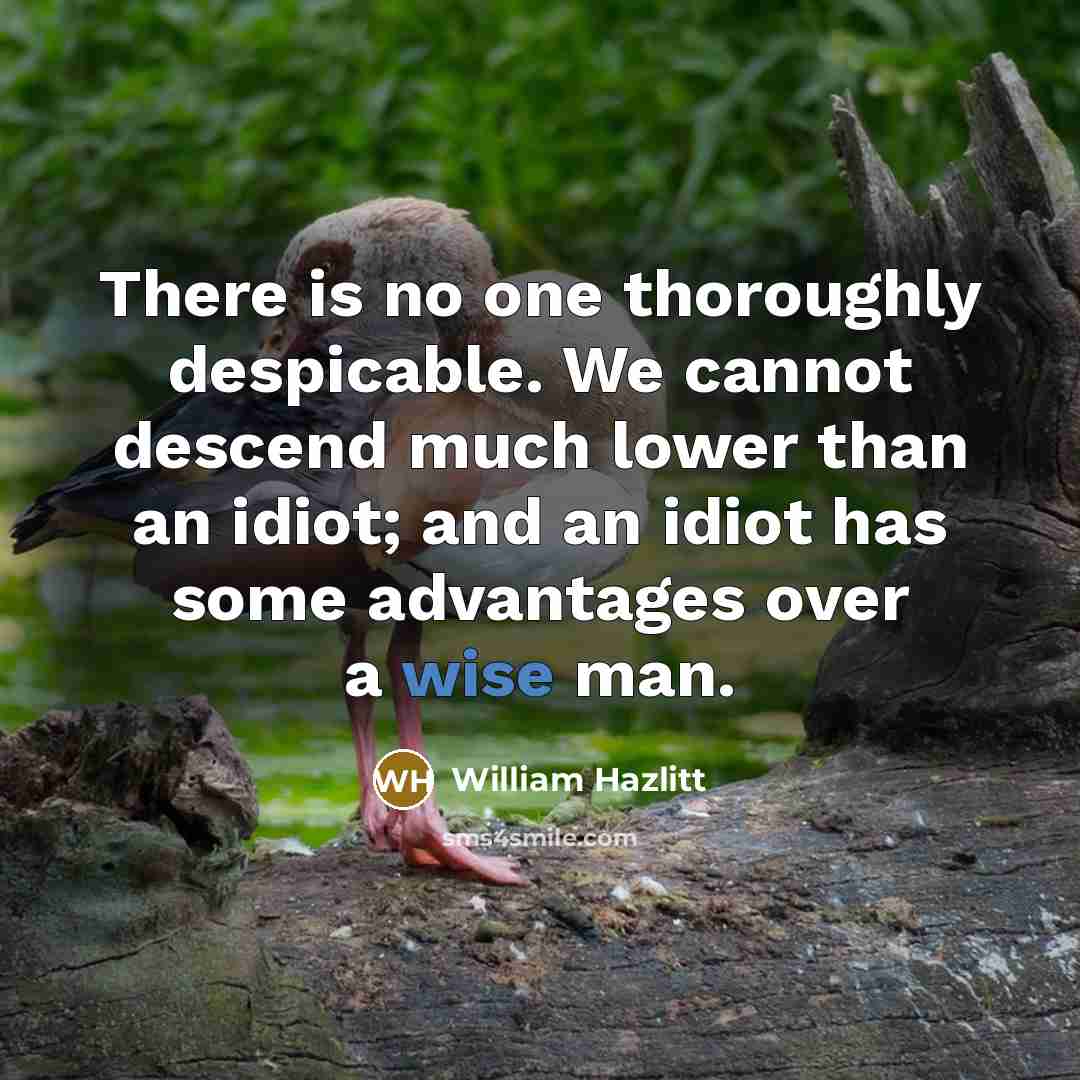 “There is no one thoroughly despicable. We cannot descend much…” quote by William Hazlitt