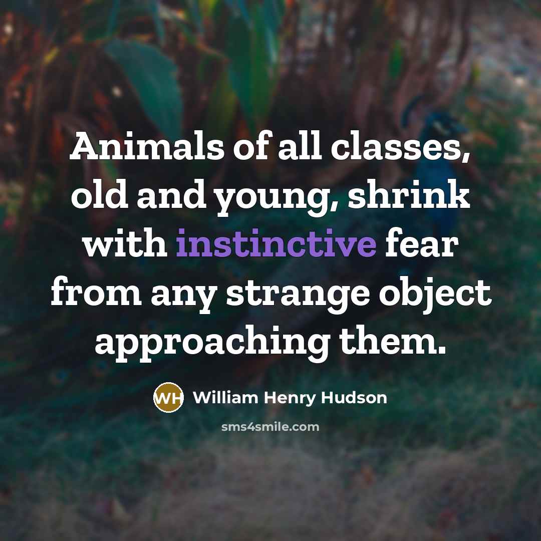 “Animals of all classes, old and young, shrink with instinctive…” quote by William Henry Hudson