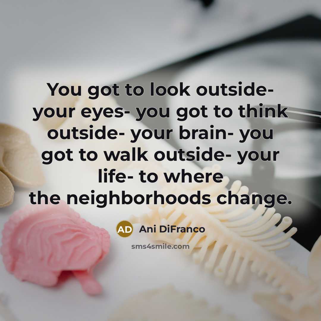 “You got to look outside- your eyes- you got to…” quote by Ani DiFranco