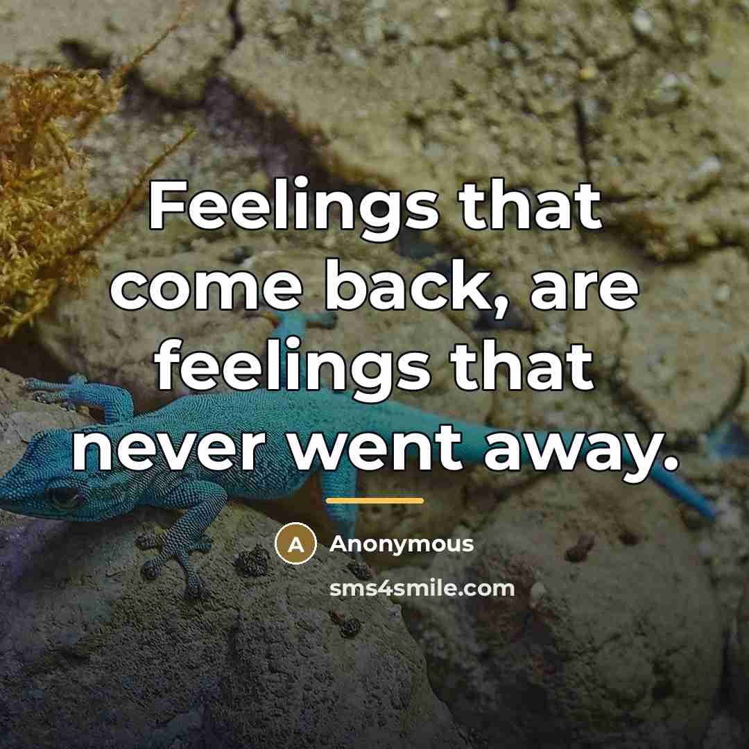 “Feelings that come back, are feelings that never went away.…” quote by Anonymous