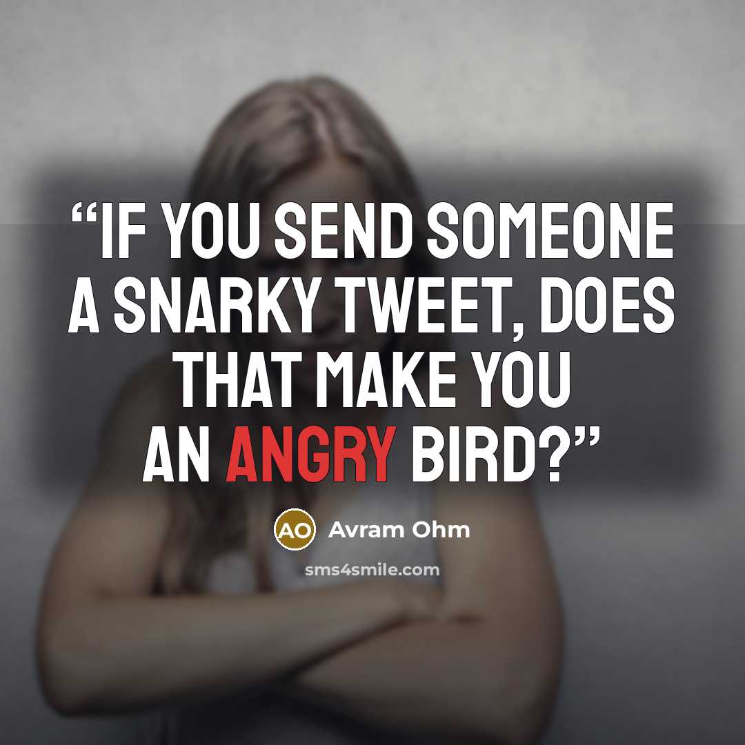 “If you send someone a snarky Tweet, does that make you an Angry Bird?” quote by Avram Ohm