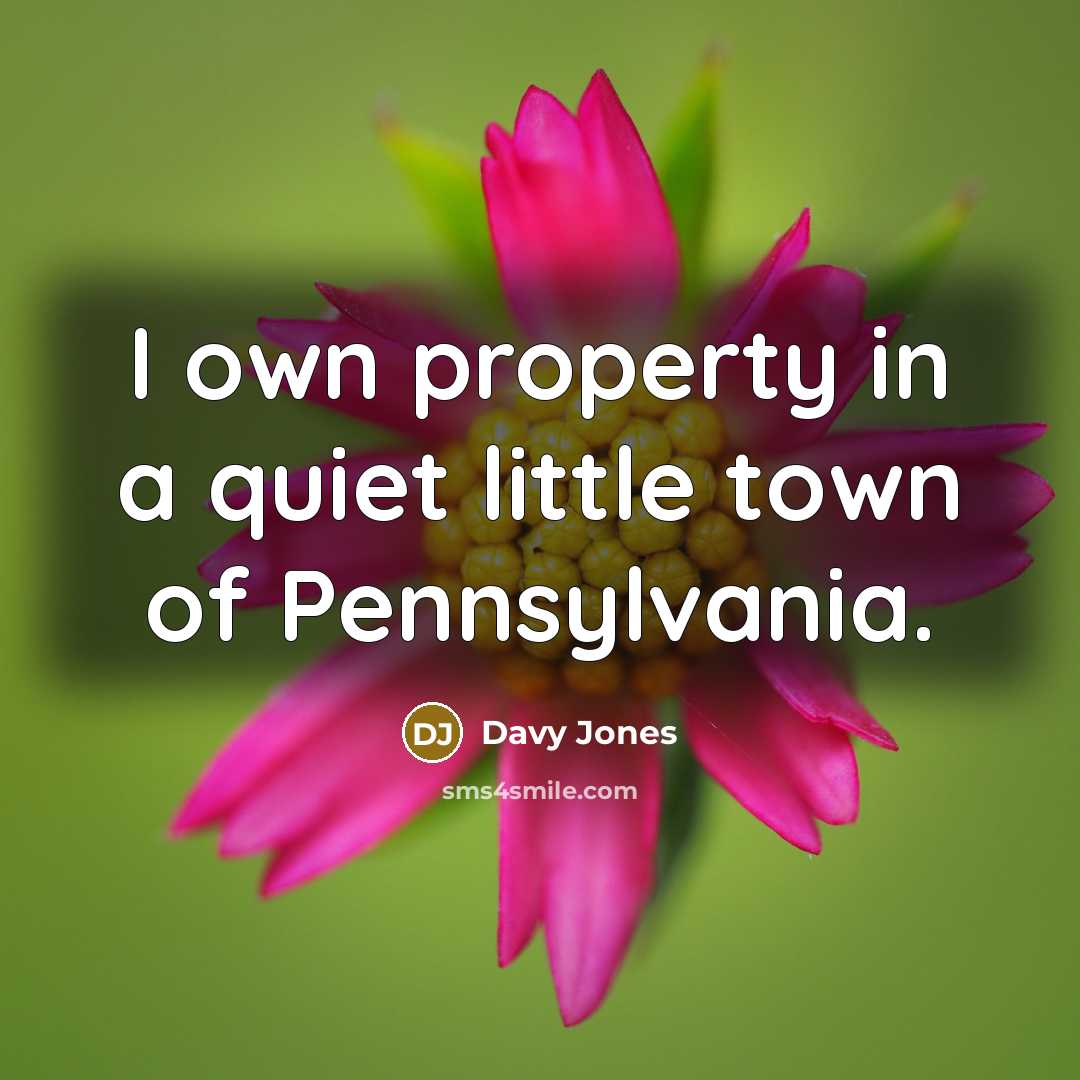 “I own property in a quiet little town of Pennsylvania.” quote by Davy Jones