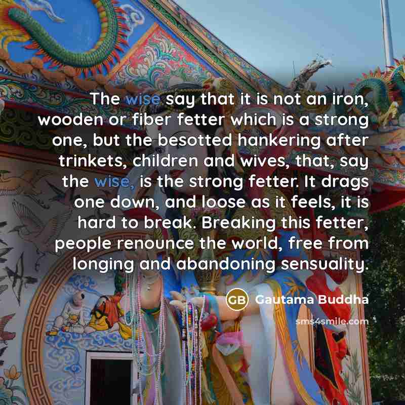 “The wise say that it is not an iron, wooden…” quote by Gautama Buddha