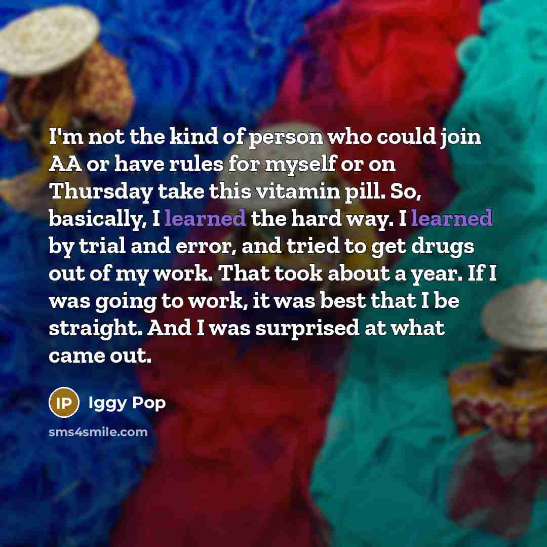 “I'm not the kind of person who could join AA…” quote by Iggy Pop