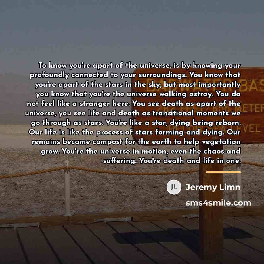 “To know you're apart of the universe, is by knowing…” quote by Jeremy Limn