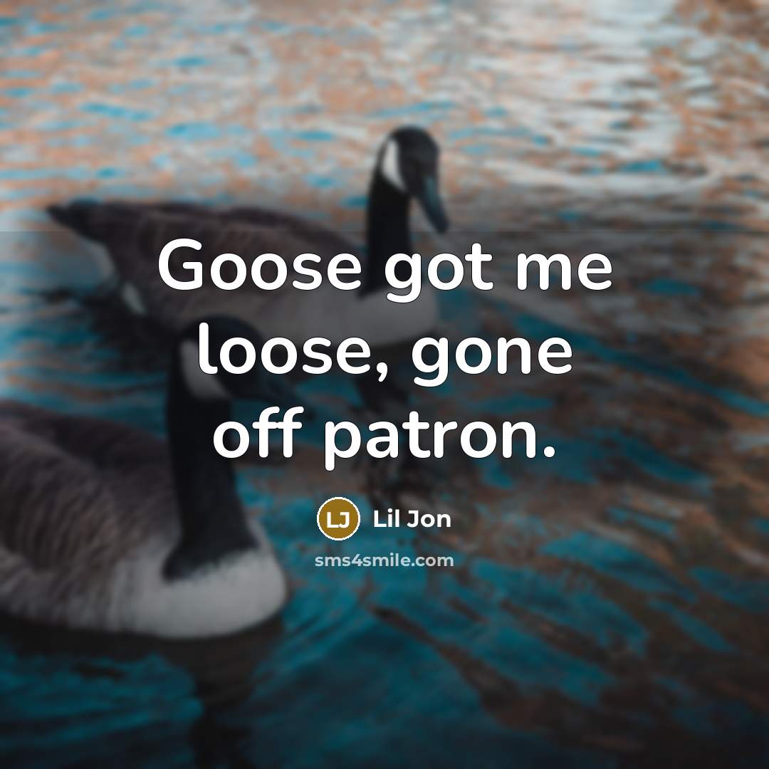 “Goose got me loose, gone off patron.” quote by Lil Jon