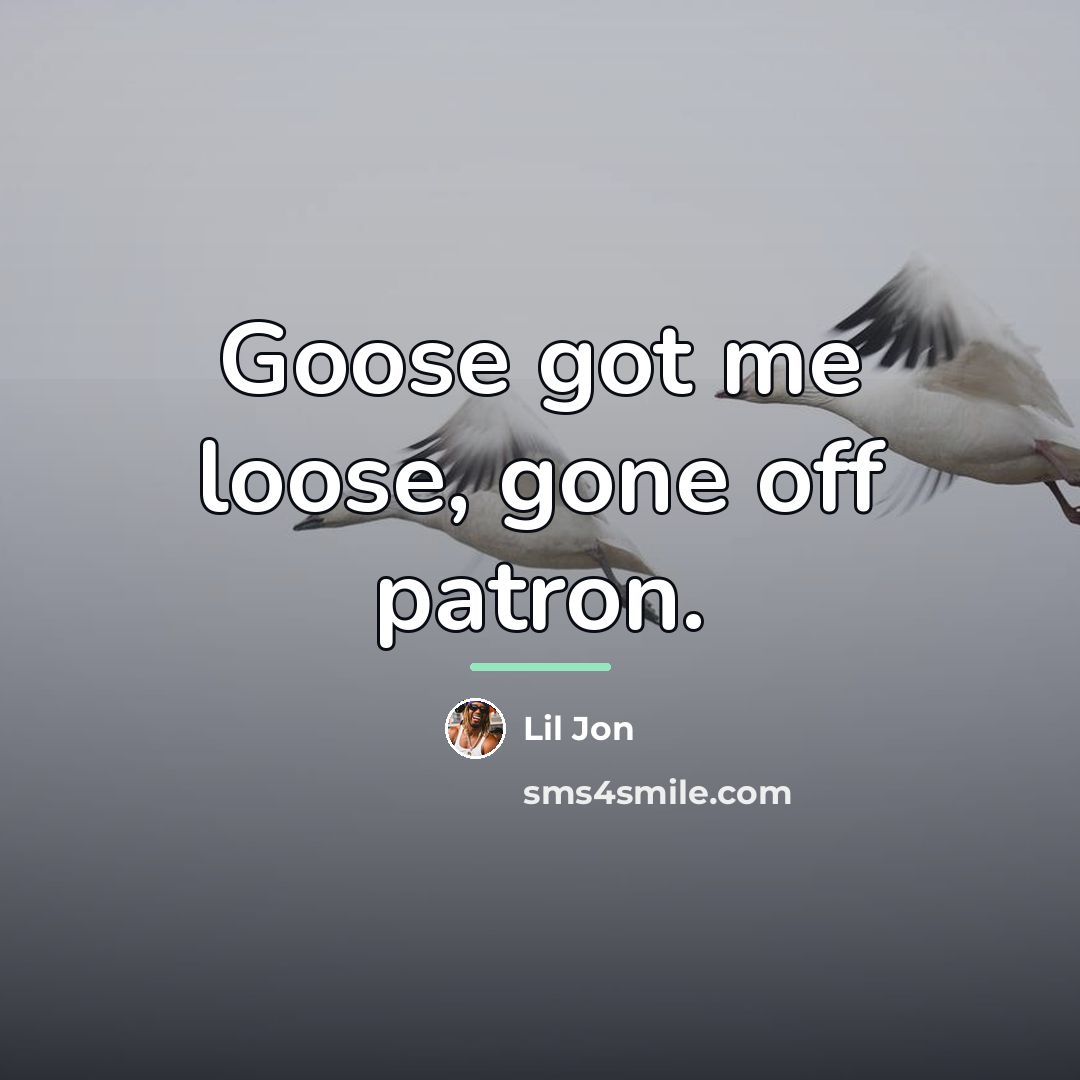“Goose got me loose, gone off patron.…” quote by Lil Jon