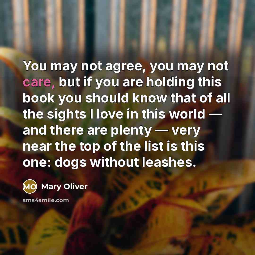 “You may not agree, you may not care, but if…” quote by Mary Oliver